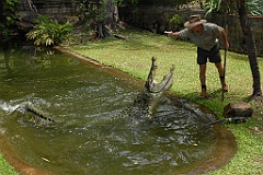 0076 Cairns Tropical Zoo